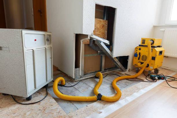 Best Indoor Air Quality Assessment  in Big River, CA