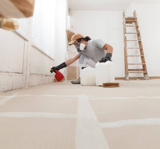 Best Comprehensive Air Testing for Mold Contaminants  in Big River, CA