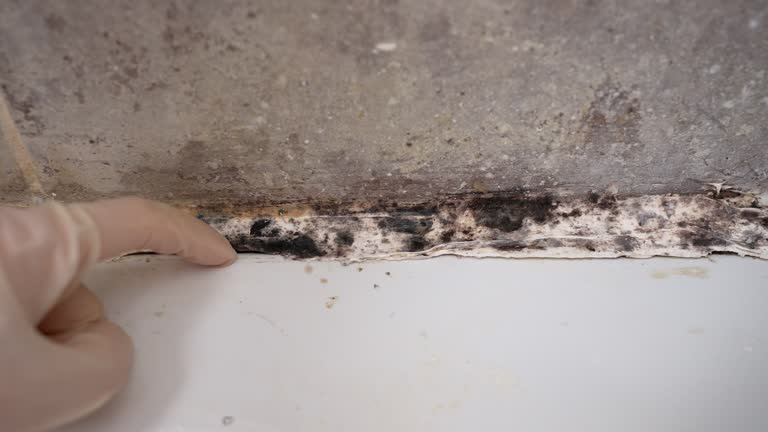 Best Post-Remediation Verification Testing  in Big River, CA